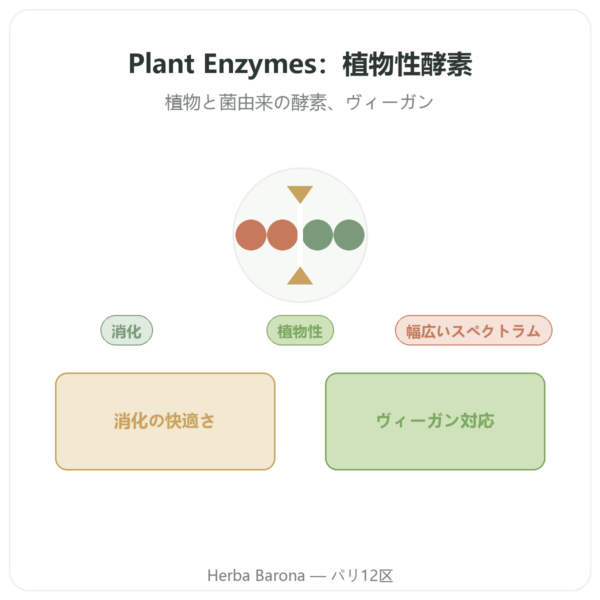 Plant Enzymes 120カプセル Now Foods – 植物性消化酵素 presentation Paris Herba Barona