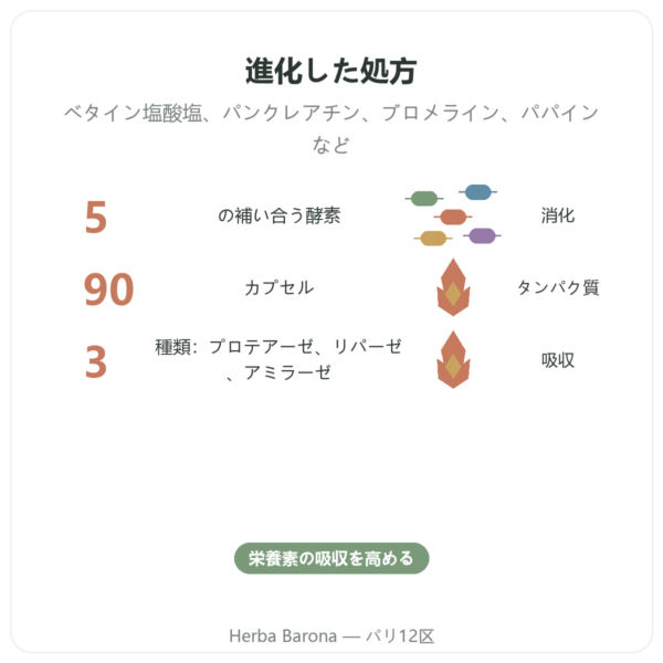 スーパー消化酵素 – 90カプセル – Now Foods benefits and key facts Paris Herba Barona