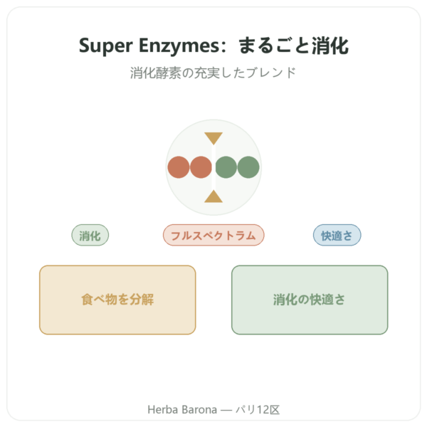 スーパー消化酵素 – 90カプセル – Now Foods presentation Paris Herba Barona