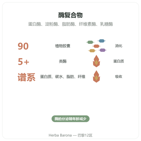 Digestive Enzymes 消化酶 – 90 粒 – Doctor's Best 功效与数据 Paris Herba Barona