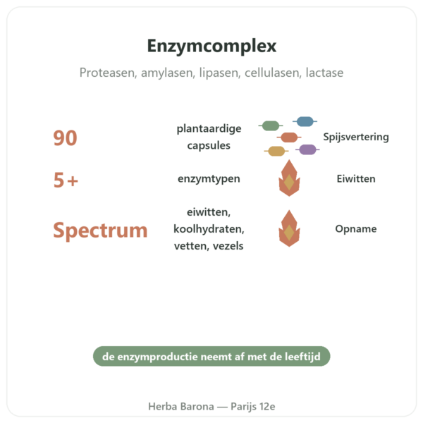 Digestive Enzymes Doctor's Best 90 capsules voordelen en kerngegevens Paris Herba Barona