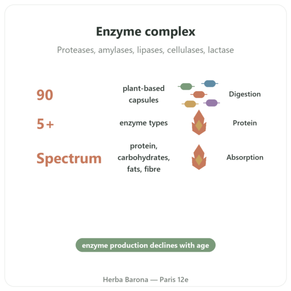 Digestive Enzymes - 90 Capsules - Doctor's Best benefits and key facts Paris Herba Barona