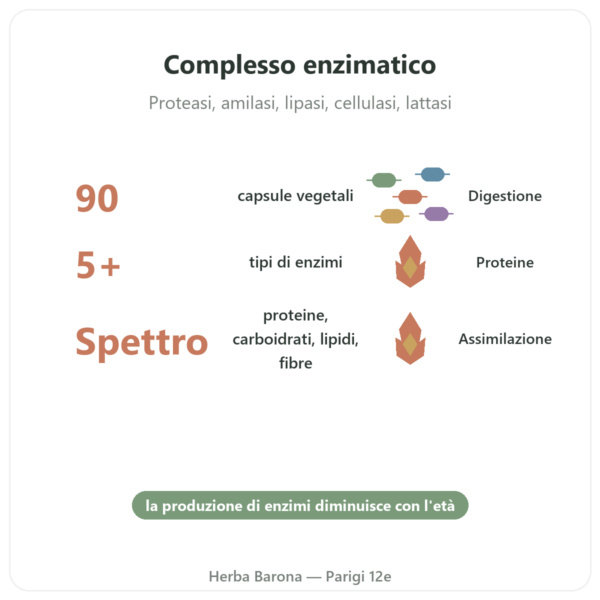 Digestive Enzymes – 90 Capsule – Doctor's Best benefici e dati chiave Paris Herba Barona