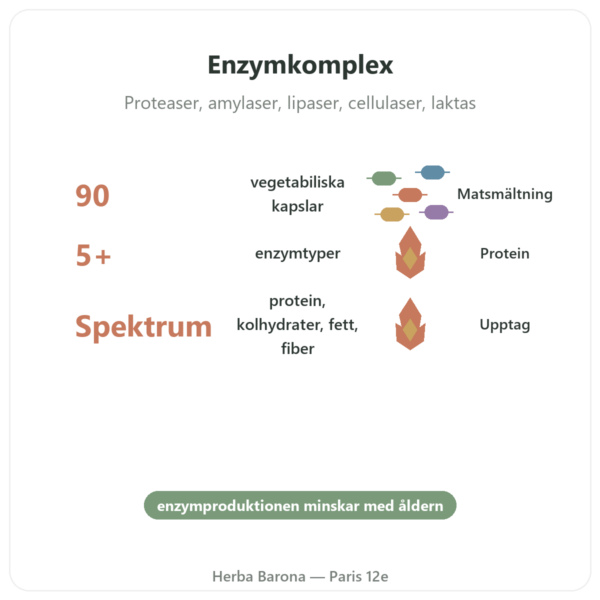 Digestive Enzymes – 90 kapslar – Doctor's Best fördelar och nyckelfakta Paris Herba Barona