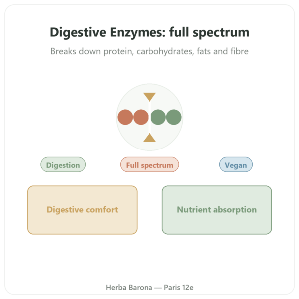 Digestive Enzymes - 90 Capsules - Doctor's Best presentation Paris Herba Barona