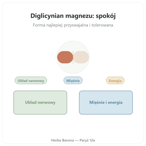 Diglicynian magnezu TRAACS® – 800 mg – 180 kaps. Dynveo prezentacja Paris Herba Barona