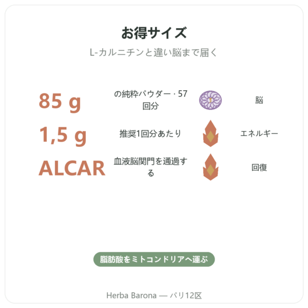 Now Foods アセチル-L-カルニチン 純粋パウダー 85g benefits and key facts Paris Herba Barona