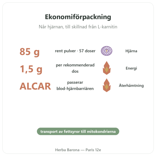 Acetyl-L-Karnitin Rent Pulver – 85 g – Now Foods fördelar och nyckelfakta Paris Herba Barona