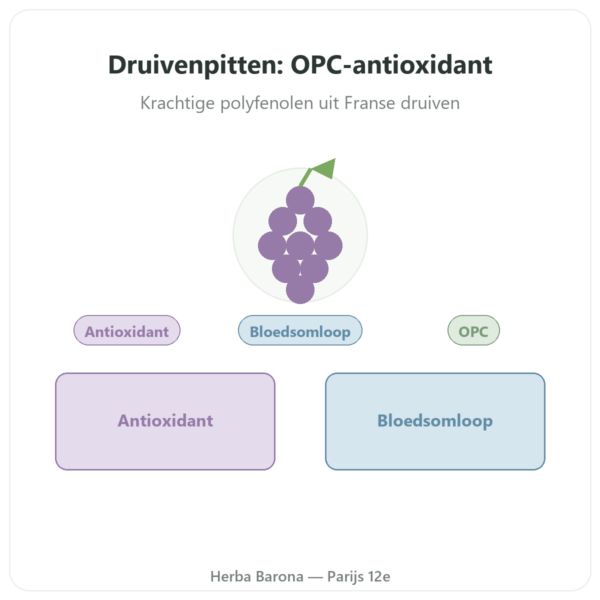 Druivenpitextract OPC 100 mg 60 capsules – DYNVEO presentatie Paris Herba Barona