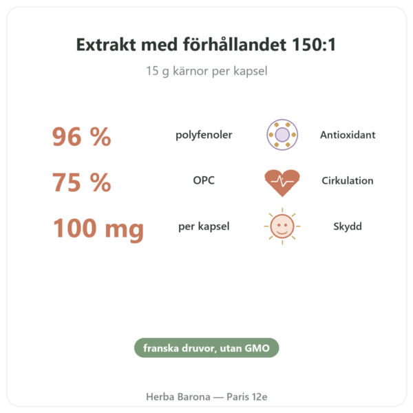 Druvkärnextrakt 100 mg 60 kapslar DYNVEO fördelar och nyckelfakta Paris Herba Barona