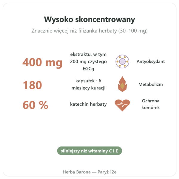 EGCg Ekstrakt z Zielonej Herbaty 400 mg – Now Foods – 180 kapsułek korzyści i najważniejsze fakty Paris Herba Barona