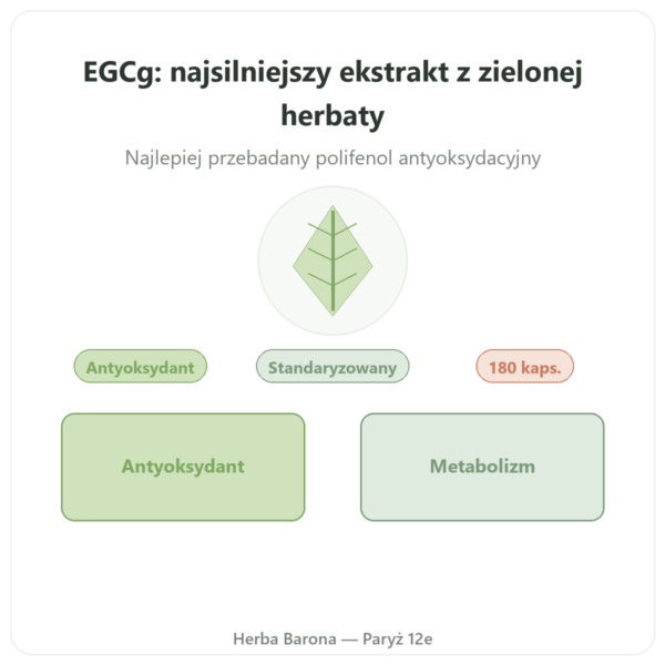 EGCg Ekstrakt z Zielonej Herbaty 400 mg – Now Foods – 180 kapsułek prezentacja Paris Herba Barona