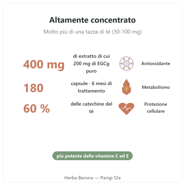 EGCg Estratto di Tè Verde 400 mg – NOW Foods – 180 Capsule benefici e dati chiave Paris Herba Barona