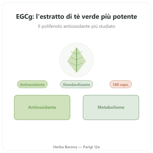EGCg Estratto di Tè Verde 400 mg – NOW Foods – 180 Capsule presentazione Paris Herba Barona
