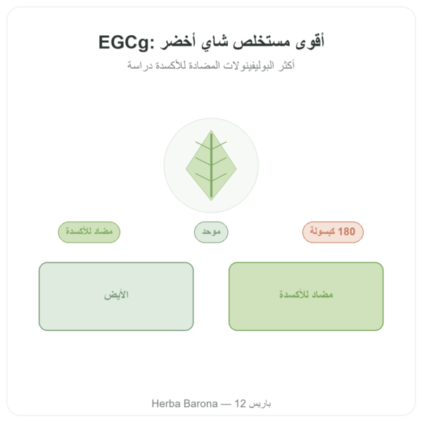 EGCg مستخلص الشاي الأخضر 400 مغ – Now Foods – 180 كبسولة عرض المنتج Paris Herba Barona