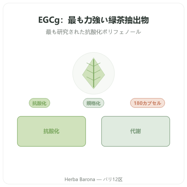 EGCg 緑茶エキス 400 mg – Now Foods – 180カプセル presentation Paris Herba Barona