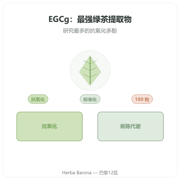 Now Foods EGCg 绿茶提取物 400毫克 – 180粒 产品展示 Paris Herba Barona
