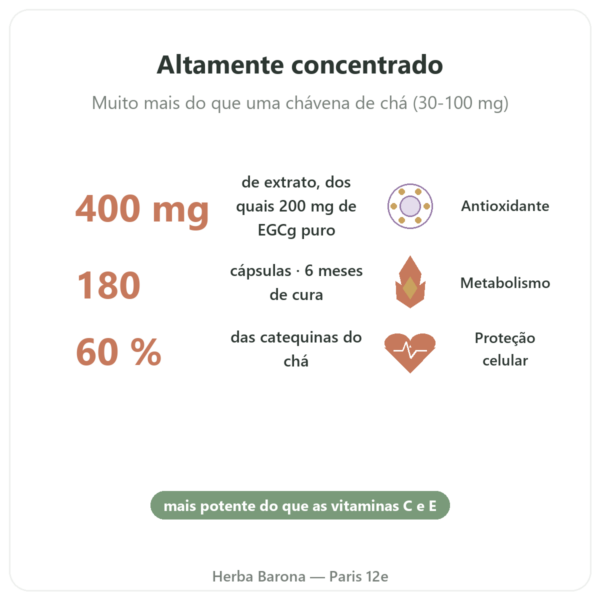 EGCg Extrato de Chá Verde 400 mg – Now Foods – 180 cápsulas benefícios e dados principais Paris Herba Barona