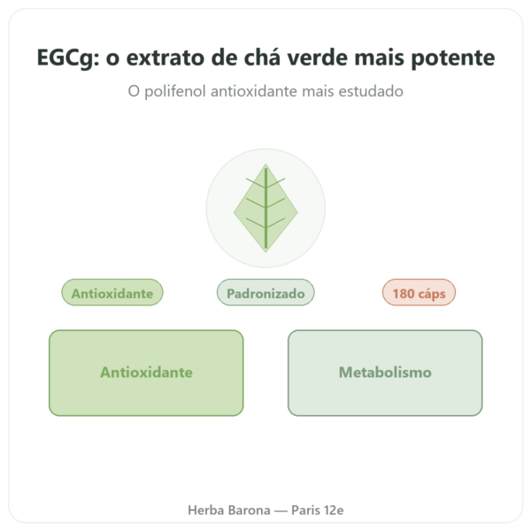 EGCg Extrato de Chá Verde 400 mg – Now Foods – 180 cápsulas apresentação Paris Herba Barona