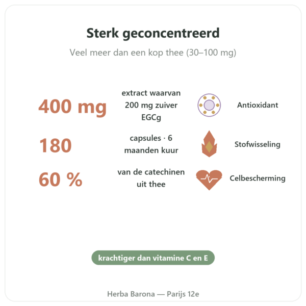EGCg Groene Thee Extract 400 mg – Now Foods – 180 capsules voordelen en kerngegevens Paris Herba Barona