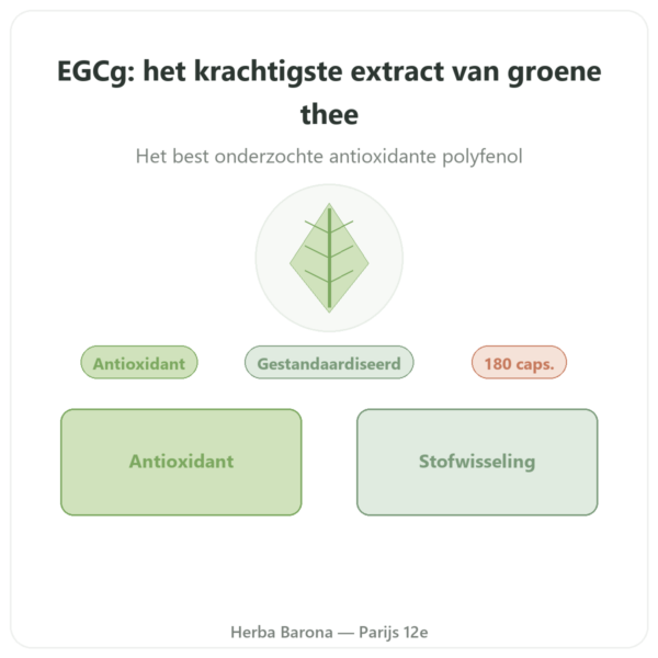 EGCg Groene Thee Extract 400 mg – Now Foods – 180 capsules presentatie Paris Herba Barona