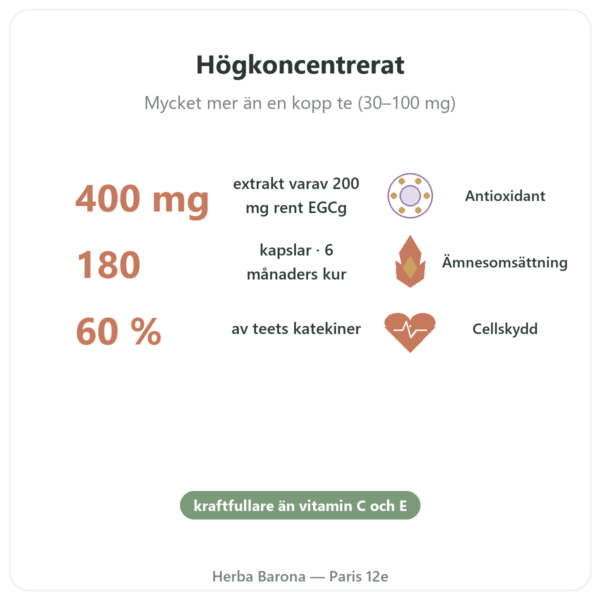 EGCG Grönt Te-extrakt 400 mg – Now Foods – 180 kapslar fördelar och nyckelfakta Paris Herba Barona