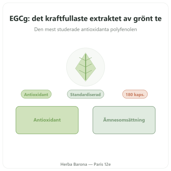 EGCG Grönt Te-extrakt 400 mg – Now Foods – 180 kapslar presentation Paris Herba Barona