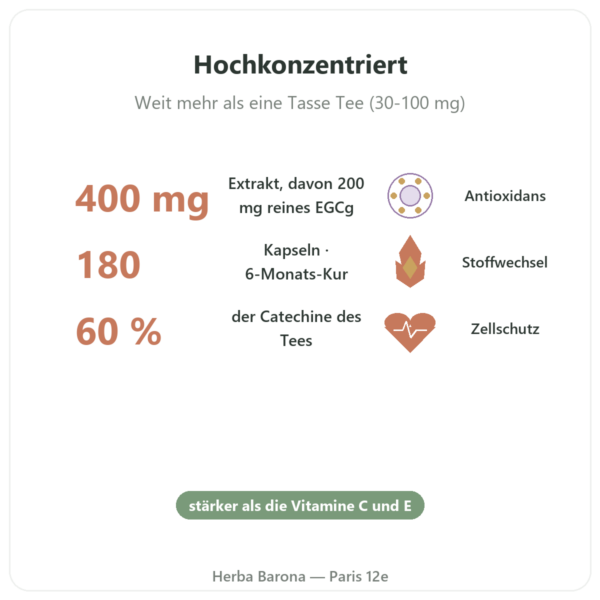 EGCG Grüntee-Extrakt 400 mg – Now Foods – 180 Kapseln Vorteile und Fakten Paris Herba Barona