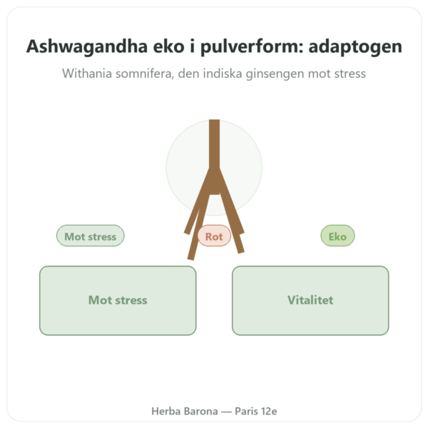 Ekologisk Ashwagandha Pulver 300 g – Bioptimal presentation Paris Herba Barona
