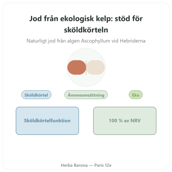 Ekologisk Kelp-jod Dynveo – 150 µg – 60 kapslar presentation Paris Herba Barona