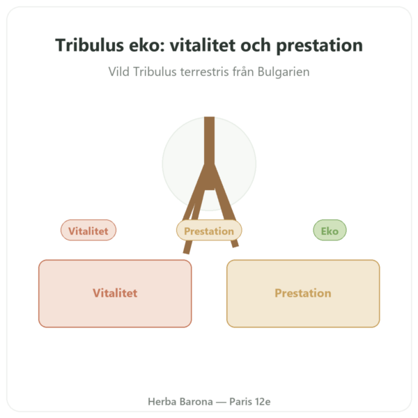 Ekologisk Tribulus Dynveo VemoHerb TS – 90 % saponiner – 120 kapslar presentation Paris Herba Barona