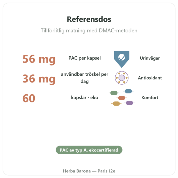 Ekologiskt tranbär (Cranberry) Dynveo – 56 mg PAC – 60 kapslar fördelar och nyckelfakta Paris Herba Barona