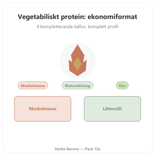 Ekologiskt vegetabiliskt protein – Dynveo – 1 kg presentation Paris Herba Barona