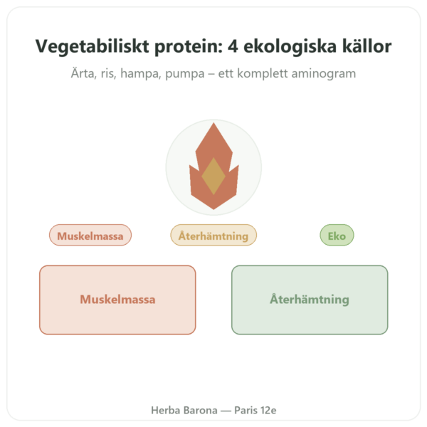 Ekologiskt vegetabiliskt protein – Dynveo – 500 g presentation Paris Herba Barona
