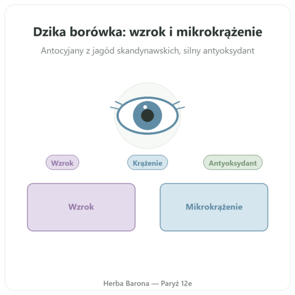 Ekstrakt z dzikiej jagody – Dynveo – 60 kapsułek prezentacja Paris Herba Barona