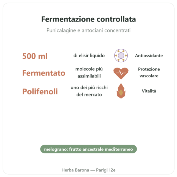Elisir di melograno fermentato Dr. Jacob's – 500 ml – Naturamedicatrix benefici e dati chiave Paris Herba Barona