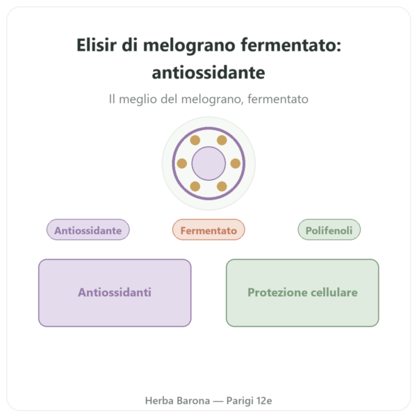 Elisir di melograno fermentato Dr. Jacob's – 500 ml – Naturamedicatrix presentazione Paris Herba Barona