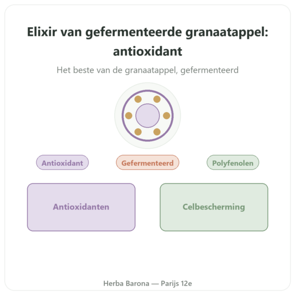 Elixir van gefermenteerde granaatappel Dr Jacobs – 500 ml – Naturamedicatrix presentatie Paris Herba Barona