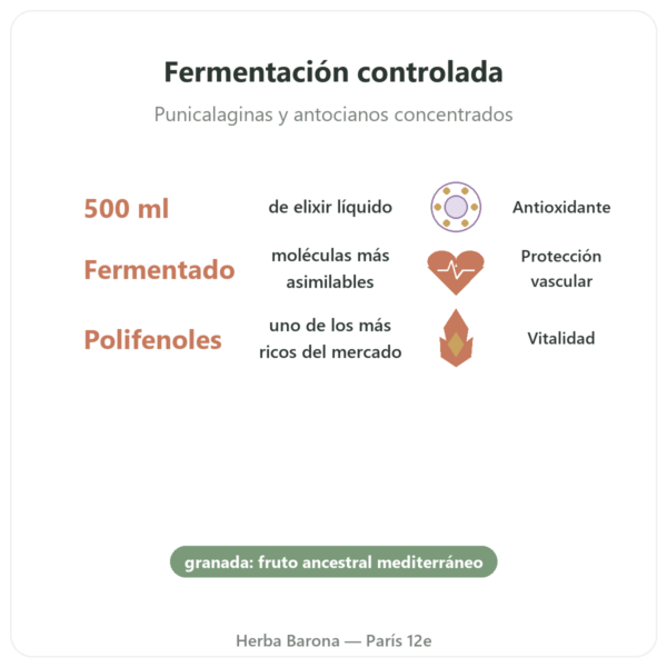 Elixir de Granada Fermentada Dr. Jacob's – 500 ml – Naturamedicatrix beneficios y datos clave Paris Herba Barona