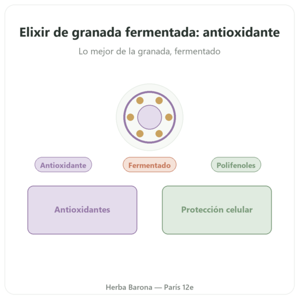 Elixir de Granada Fermentada Dr. Jacob's – 500 ml – Naturamedicatrix presentación Paris Herba Barona