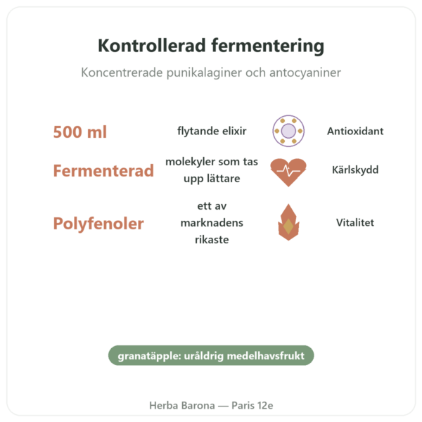 Elixir av fermenterat granatäpple Dr Jacobs – 500 ml – Naturamedicatrix fördelar och nyckelfakta Paris Herba Barona