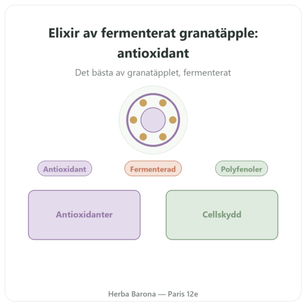 Elixir av fermenterat granatäpple Dr Jacobs – 500 ml – Naturamedicatrix presentation Paris Herba Barona