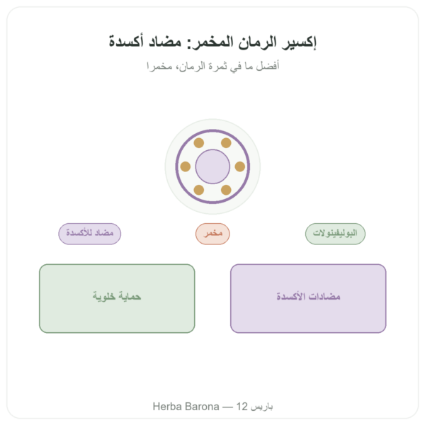 إكسير الرمان المخمّر Dr Jacob's – 500 مل – Naturamedicatrix عرض المنتج Paris Herba Barona