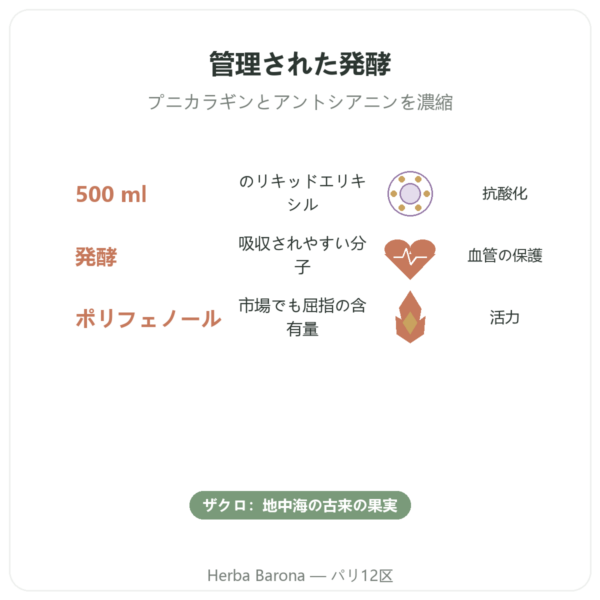 発酵ザクロエリキシル Dr Jacobs – 500 ml – Naturamedicatrix benefits and key facts Paris Herba Barona