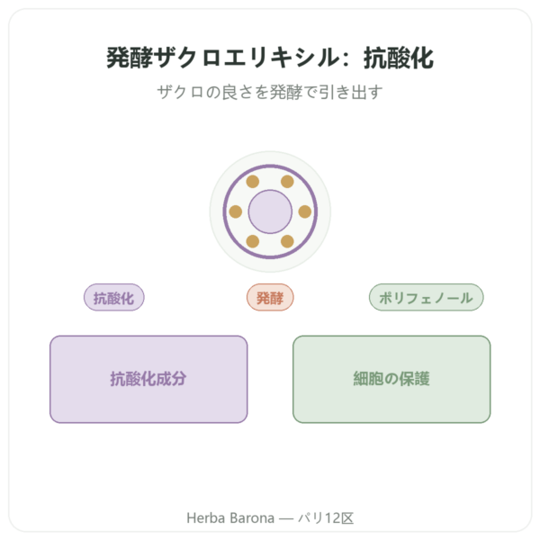 発酵ザクロエリキシル Dr Jacobs – 500 ml – Naturamedicatrix presentation Paris Herba Barona