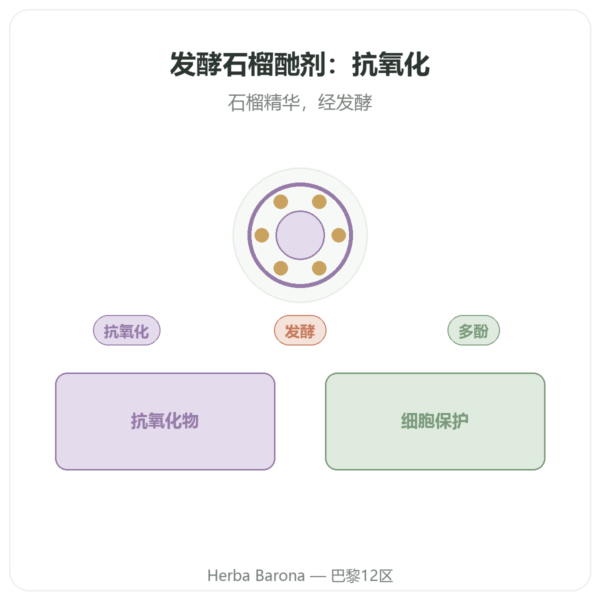 发酵石榴精华 Dr Jacobs – 500 ml – Naturamedicatrix 产品展示 Paris Herba Barona