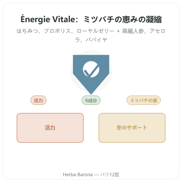 Énergie Vitale Propolia – はちみつ、プロポリス、ローヤルゼリー – 120 g presentation Paris Herba Barona