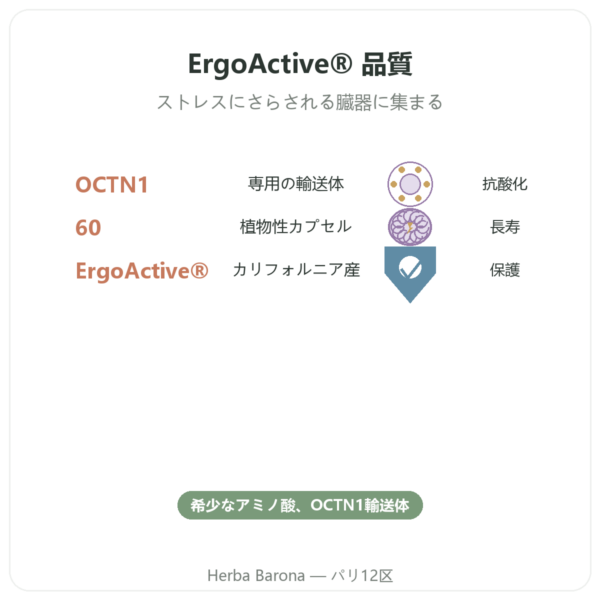 純粋エルゴチオネイン ErgoActive – Dynveo – 60カプセル benefits and key facts Paris Herba Barona