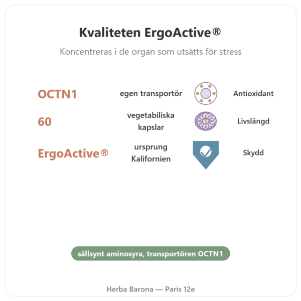 Ergotionein rent ErgoActive – Dynveo – 60 kapslar fördelar och nyckelfakta Paris Herba Barona
