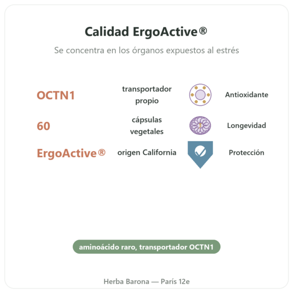Ergotioneína pura ErgoActive® – Dynveo – 60 cápsulas beneficios y datos clave Paris Herba Barona